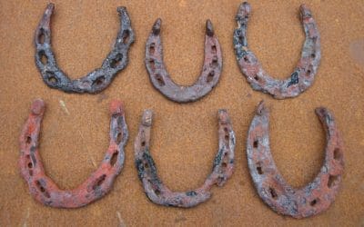 Hoard Of Celtic Horseshoes
